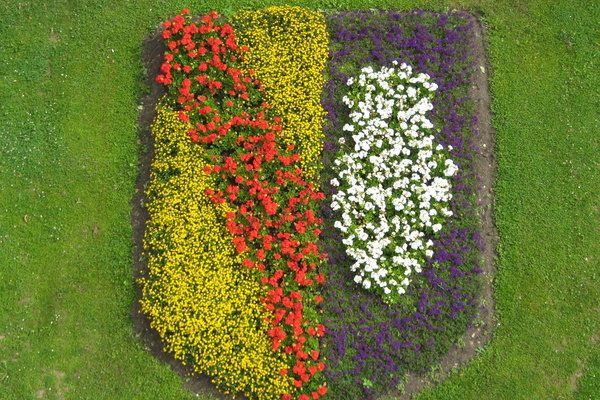 Blühende Pflanzen formen das Denzlinger Wappen Blühende Pflanzen formen das Denzlinger Wappen