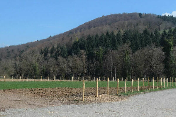 jgr-mehrzweckplatz-noch-nicht- alle-latten-am-zaun-1