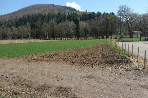 jgr-mehrzweckplatz-noch-nicht- alle-latten-am-zaun-3