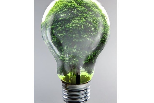 Durchsichtige Glühbirne mit einem grünen Baum im Innern,  Bildquelle: Pixelio / Rainer Sturm
