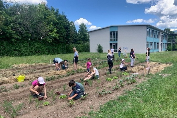 Flei&szlig;ige Sch&uuml;lerinnen und Sch&uuml;ler der Nachhaltigkeits-AG und der �GartenKids� bei der Anlage und Pflege des Schulgartens