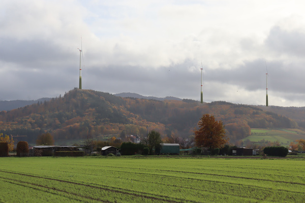 Bewaldeter Hügel mit drei Windrädern