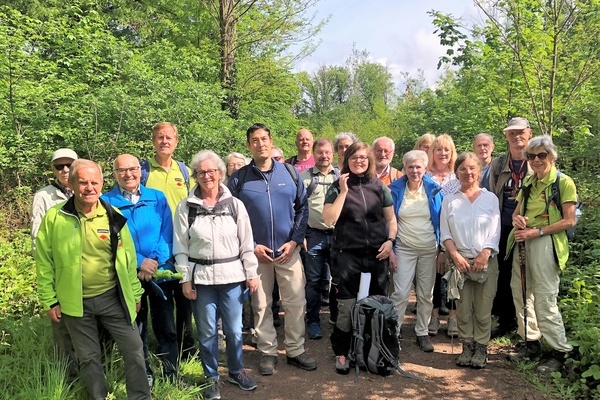 Gruppe von Wandernden im Wald