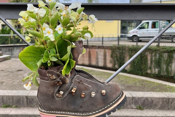 Wanderstiefel, bepflanzt mit weien Begonien und an einer Brstung befestigt