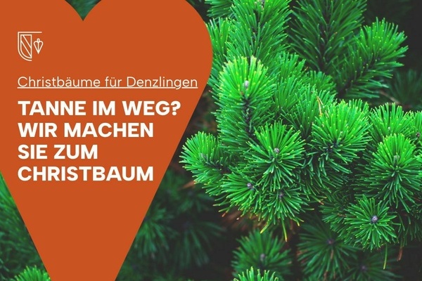 Tannenzweige. Dar&uuml;ber ein ziegelrotes Herz mit wei&szlig;er Inschrift.