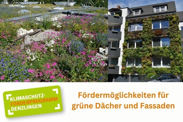 Begr&uuml;ntes Flachdach