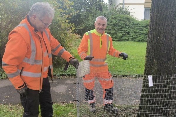 Arno Büche (links) und Robert Hoffmann vom Bauhof-Team stellen in Denzlingen Laubkörbe auf. Foto: Gemeinde Denzlingen