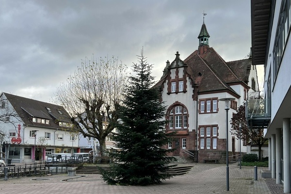 Der Christbaum auf dem Rathausplatz wir in der Adventszeit wieder allabendlich leuchten. Foto: Melanie Lackner