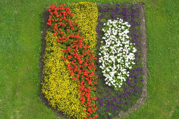 Blhende Pflanzen formen das Denlzinger Wappen