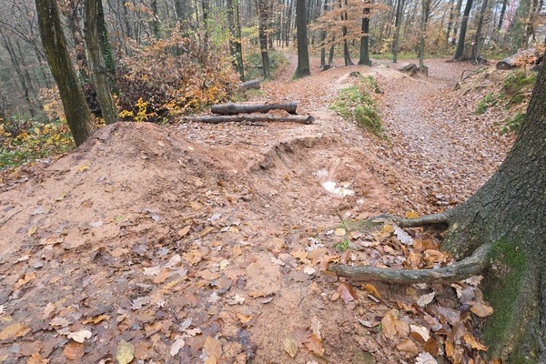 Bild: Illegale Erdarbeiten im Waldgebiet nahe dem Hallerhof in Richtung Sängerruh. Foto: Verbandsbauhof des GVVDVR