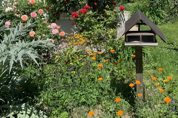 Einer der kürzlich prämierten Denzlinger Naturgärten. Foto: Gemeinde Denzlingen.