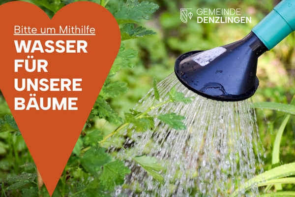 Gie&szlig;kanne, aus der Wasser flie&szlig;t und Pflanzen, zieglerotes herz mit wei&szlig;er Schrift