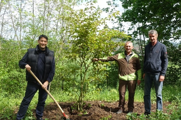 Foto: Gemeinde Denzlingen v.l.n.r. Bürgermeister Markus Hollemann, Claus Malzacher (Baumschule Malzacher), Mario Will (Grüntrupp Bauhof Denzlingen)