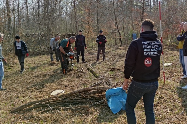 Waldpflanzaktion: mehrere Personen pflanzen B&auml;ume auf einem unbepflanzten Waldgrundst&uuml;ck