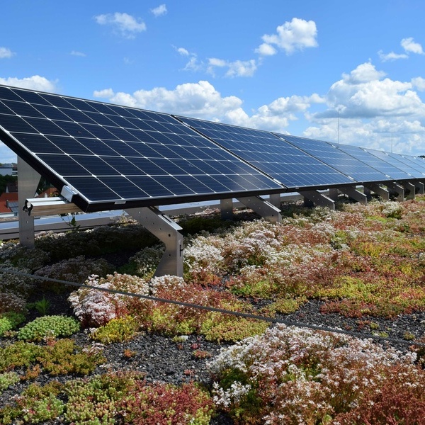 Begrntes Dach mit Photovoltaikanlage