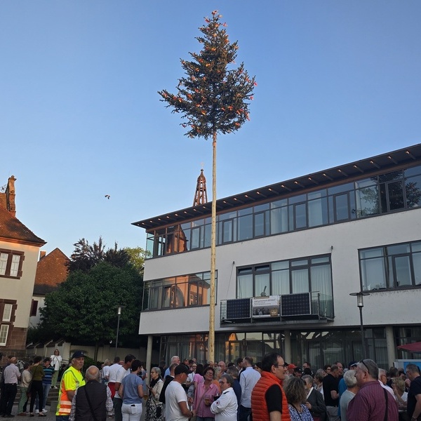 Impressionen vom Wahlsonntag