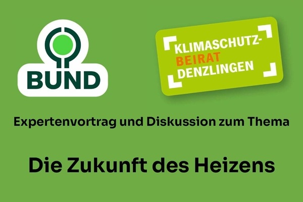 Vortrag Zukunft des Heizens